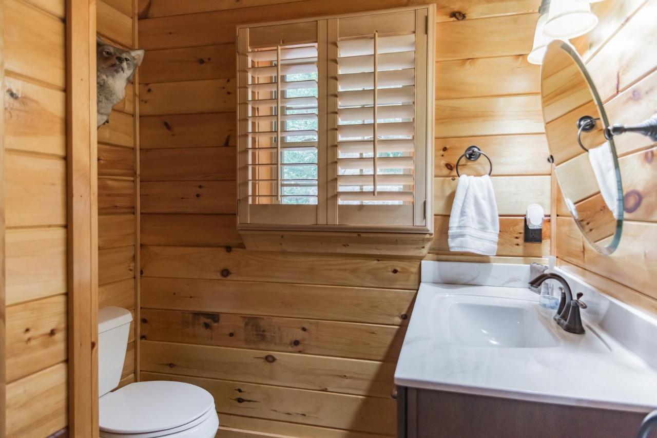 Iron Mountain Lodge - Beautiful Cabin With Forest & Mountain Views! Butler Экстерьер фото